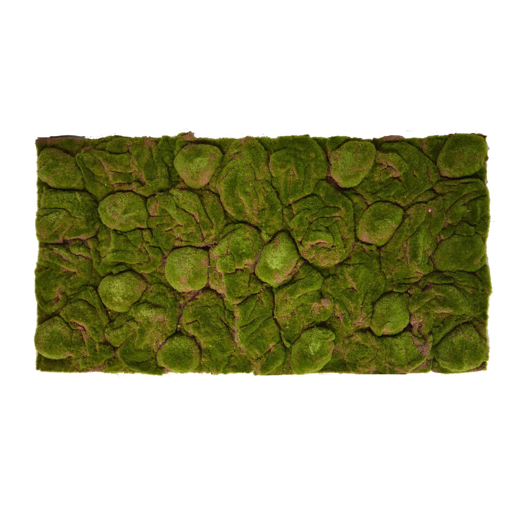 REPITERRA 3D Natürlicher Moos Hintergrund für Terrarium - ideal für 120x60cm Terrarien - Dekoration zum Verdunkeln der R